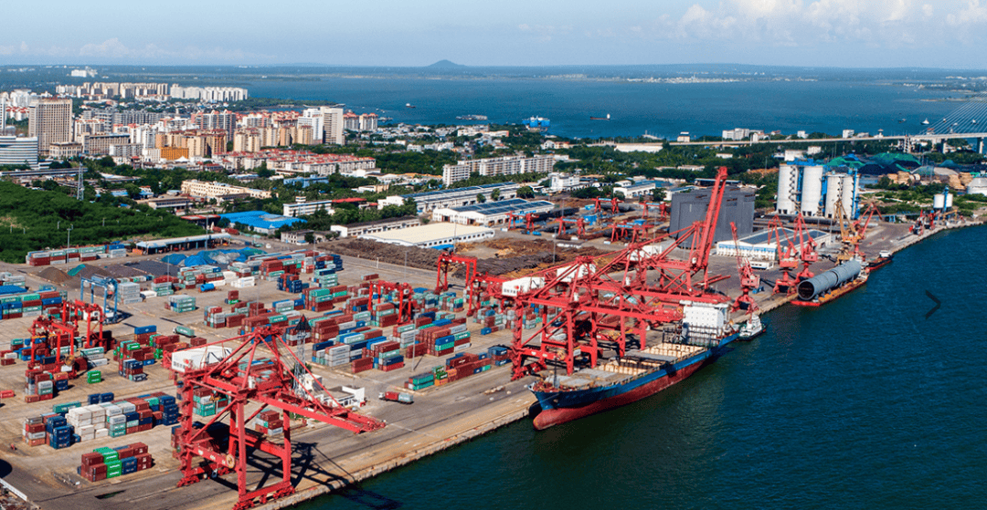 洋浦港封关百日：内贸集装箱运力跃升，南北海运大通道提速