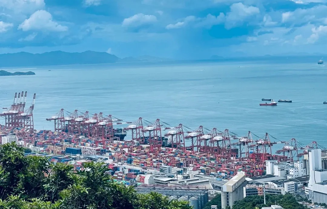 海运新手必读：首次内贸集装箱运输指南