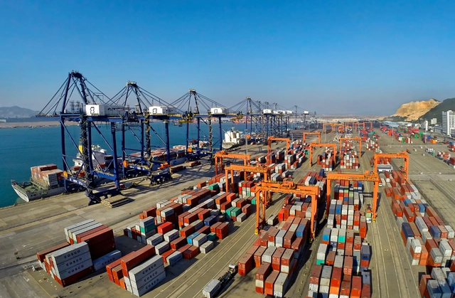 2023年上半年内贸海运集装箱是各大港口增长的主力