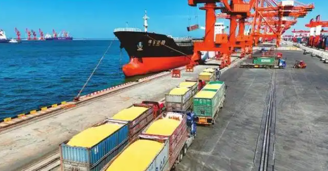 国内50%粮食运输转向集装箱海运