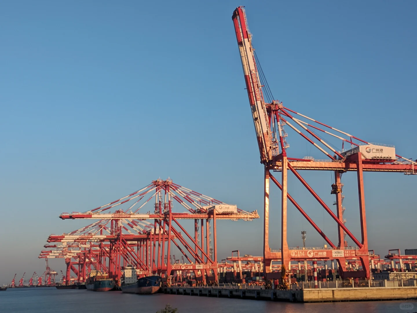 如何理解海运中的“甩柜”？