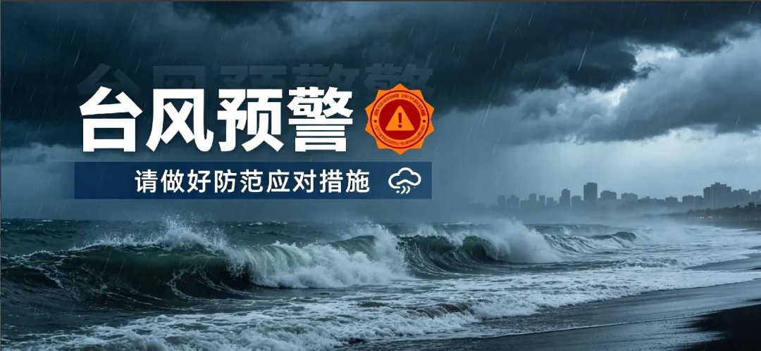 关于台风“白海豚”动态及集装箱海运作业安排的通告